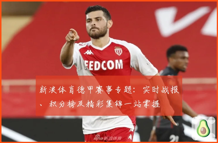 新浪体育德甲赛事专题：实时战报、积分榜及精彩集锦一站掌握