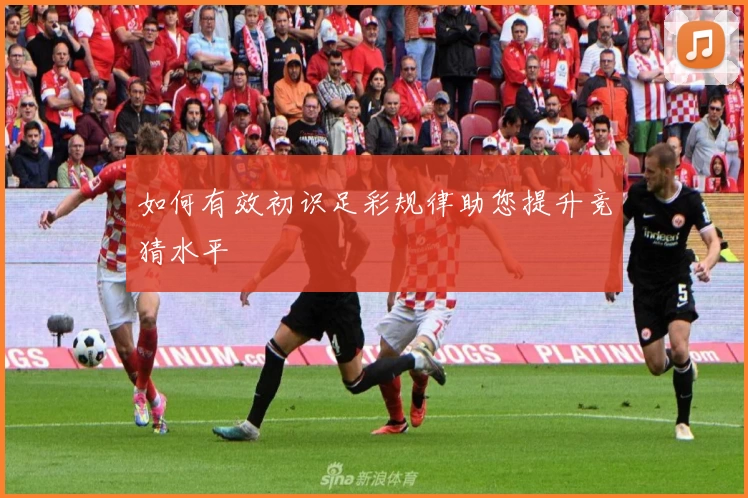 如何有效初识足彩规律助您提升竞猜水平
