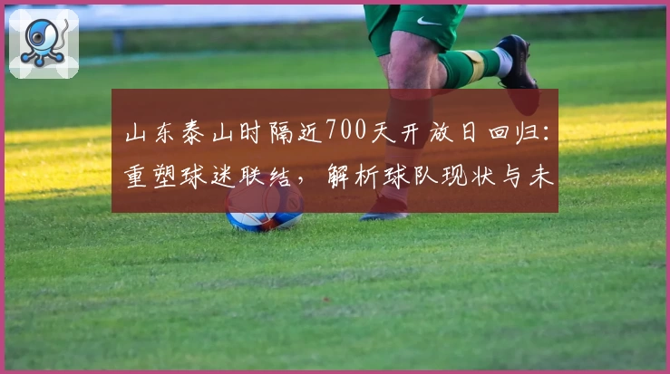 山东泰山时隔近700天开放日回归:重塑球迷联结,解析球队现状与未来布局