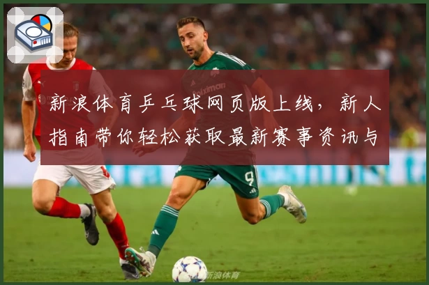 新浪体育乒乓球网页版上线，新人指南带你轻松获取最新赛事资讯与精彩回放