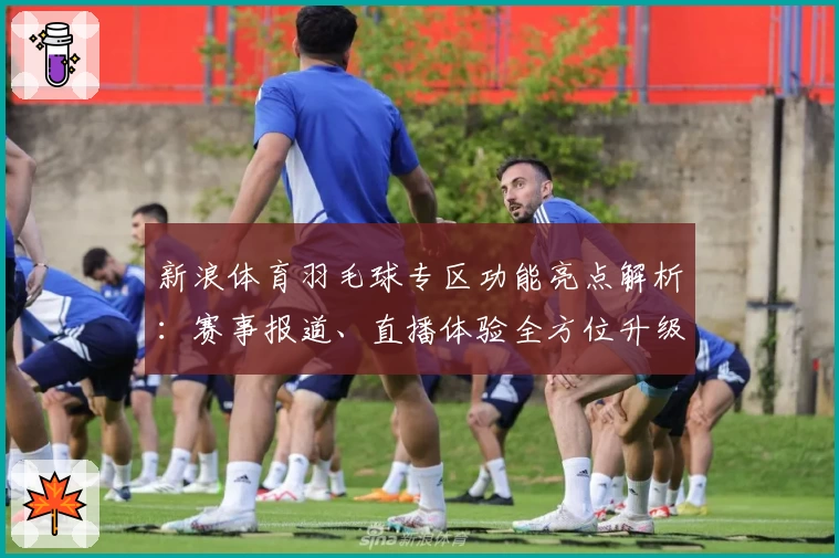 新浪体育羽毛球专区功能亮点解析：赛事报道、直播体验全方位升级