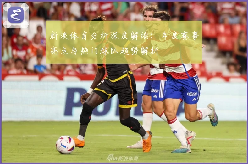 新浪体育分析深度解读：年度赛事亮点与热门球队趋势解析
