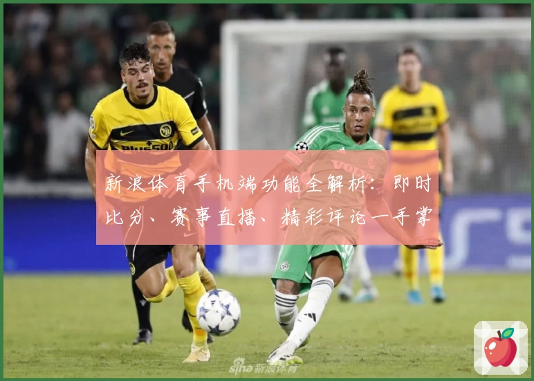 新浪体育手机端功能全解析：即时比分、赛事直播、精彩评论一手掌握
