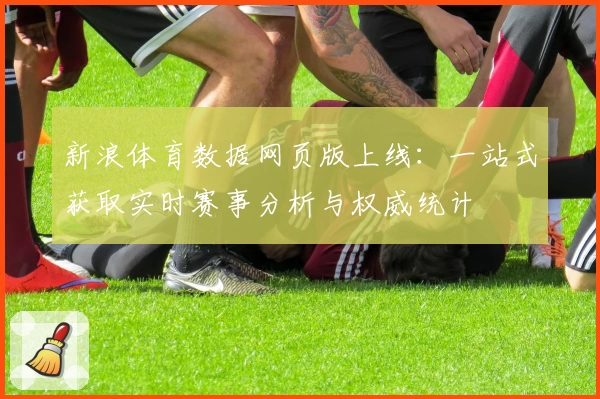 新浪体育数据网页版上线：一站式获取实时赛事分析与权威统计