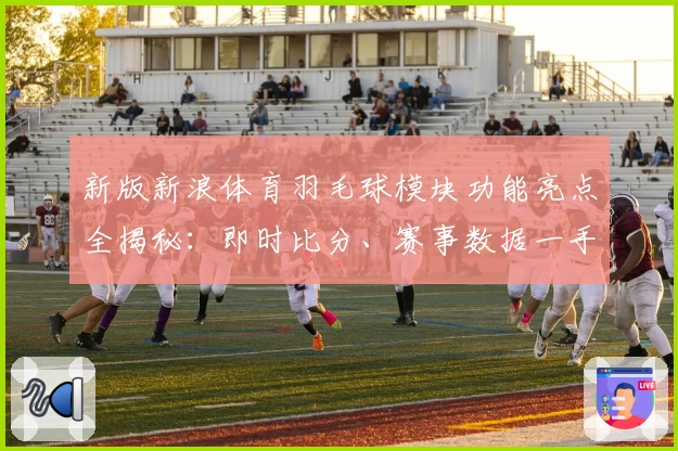 新版新浪体育羽毛球模块功能亮点全揭秘：即时比分、赛事数据一手掌握