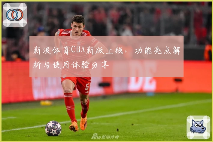 新浪体育CBA新版上线，功能亮点解析与使用体验分享