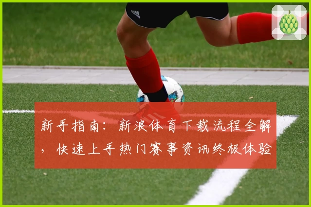 新手指南：新浪体育下载流程全解，快速上手热门赛事资讯终极体验