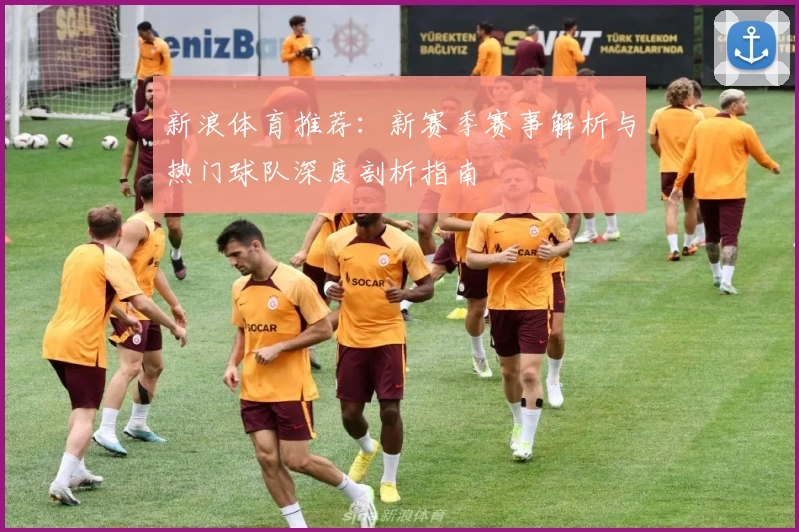 新浪体育推荐：新赛季赛事解析与热门球队深度剖析指南