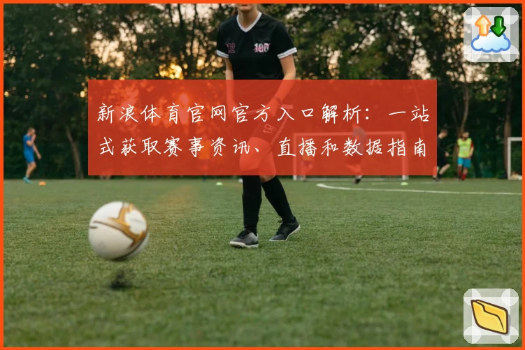 新浪体育官网官方入口解析：一站式获取赛事资讯、直播和数据指南