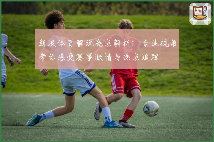 新浪体育解说亮点解析：专业视角带你感受赛事激情与热点追踪