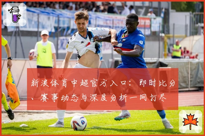 新浪体育中超官方入口：即时比分、赛事动态与深度分析一网打尽