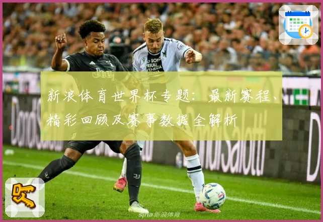 新浪体育世界杯专题：最新赛程、精彩回顾及赛事数据全解析