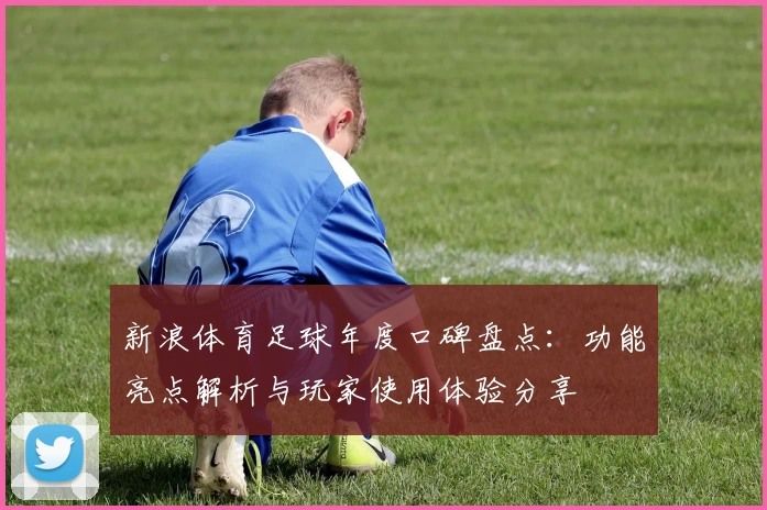 新浪体育足球年度口碑盘点：功能亮点解析与玩家使用体验分享